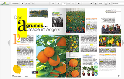 Agrumes made in Angers dans le truffaut magazine ete 2014