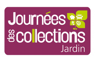 logo JDC journees des collections