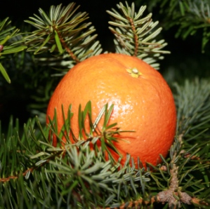 Une orange pour Noel