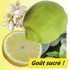 Citron doux citrus limettioides Tanaka
