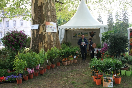 Journées des  collections 2010 agrumes de Méditerranee